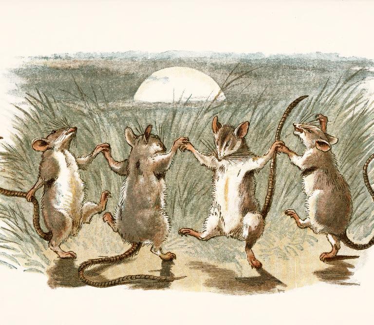 Крысиные бега морале иллюстрации. Мыши танцуют. Танцующие крысы. Танец мышей. Хоровод крыс.